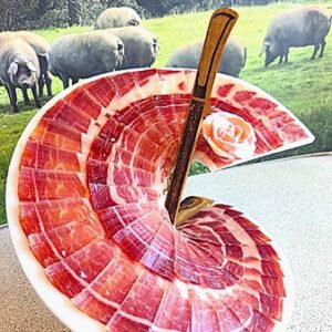 PLATO MATADOR
